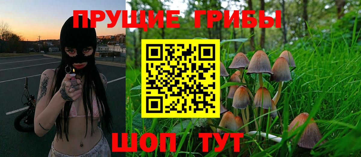 Можайск  Псилоцибиновые грибы мухоморы  Вход с VPN 